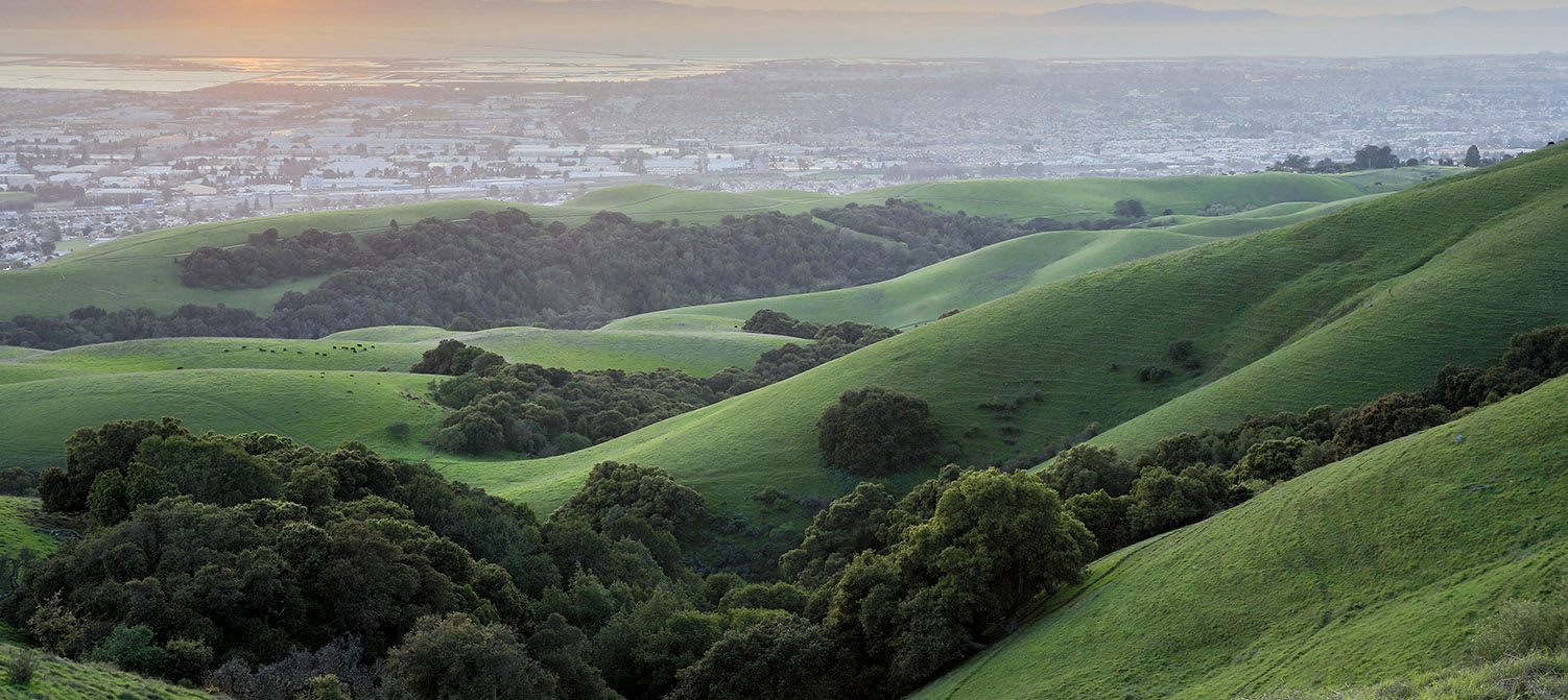 THE PREMIER INNS CONCORD OFFERS BUDGET LODGING IN A PRIME LOCATION. EXPLORE TOP EAST BAY ATTRACTIONS LIKE MOUNT DIABLO STATE PARK